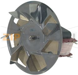 FAN [C] 