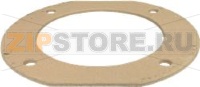 FLANGED GASKET  RIELLO F20