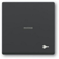 Клавиша выключателя с символом "Вилка", слоновая кость ABB 2CKA001751A3157