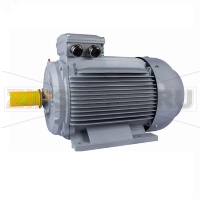 Электродвигатель 75 кВт, 380/660 В, 3000 об/мин, IP55 ESQ 01.05.02.000029