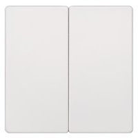 DELTA I-SYSTEM , ARTIST ЯНТАРЬ 2 КЛАВИШИ  55MM X 55MM Siemens 5TG6225-0