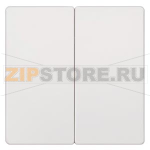 DELTA I-SYSTEM , ARTIST ЯНТАРЬ 2 КЛАВИШИ  55MM X 55MM Siemens 5TG6225-0 