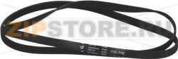 BELT HUTCHINSON 1151 H6 EL 