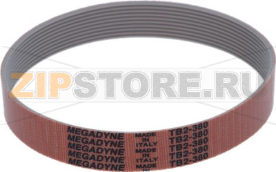 BELT. RIBBED 