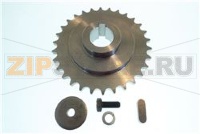 PIGNONE SUPERIORE FRUSTA