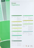 FLAVOR PERCEPTION IN COFFEE - GREEN VEGE