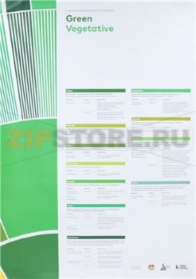 FLAVOR PERCEPTION IN COFFEE - GREEN VEGE 