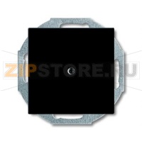 Заглушка с суппортом ABB 2CKA001715A0315