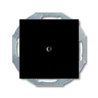 Заглушка с суппортом ABB 2CKA001715A0315