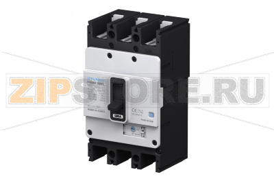 Выключатель автоматический в литом корпусе 25 А, 55 кА, 3 полюса Hyundai Electric HGM125L3PT4S0000C00025F 