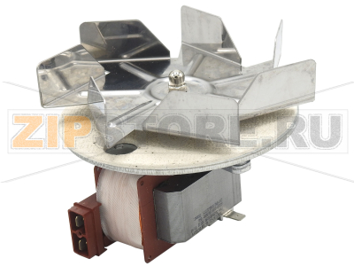 Двигатель с крыльчаткой vr150-40/12 Tecnoeka EKF 464    Мотор-вентилятор vr150-40/12 Tecnoeka EKF 464Запчасть на сборочном чертеже под номером:&nbsp;01201460Название запчасти на итальянском языке: Motoventilatore vr150-40/12 Tecnoeka EKF 464
