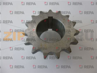 PIGNONE Z15 1/2 
