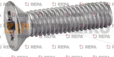 HEAD SCREW POZIDRIVE M5X30 - 200PCS 
