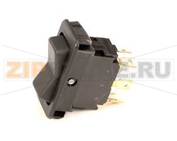 SWITCH ROC DPDT 10A 250V 