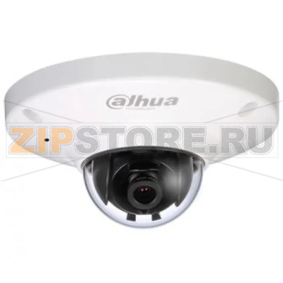 IP-камера Dahua DH-IPC-HDW4220DP-0800B 