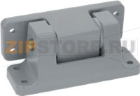 НАВЕСНАЯ ДВЕРНАЯ ПЕТЛЯ 746