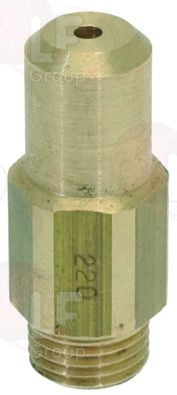 ГАЗОВАЯ ФОРСУНКА M10X1 Ø 2,20 ММ 