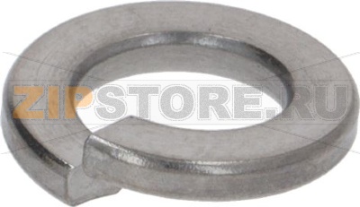 Elastic Washer D. 8 