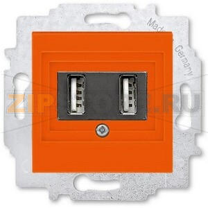 USB-розетка двойная, оранжевая ABB 2CHH290040A6066 