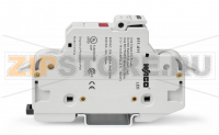 2-conductor fuse holder   ; for Class CC cylindrical fuses; 1-pole; with blown fuse indication; 600 VAC/VDC; for DIN-rail 35 x 15 and 35 x 7.5; 16 mm; CAGE CLAMP®; 16,00 mm; light gray Wago 811-411