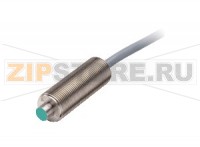 Индуктивный датчик Inductive sensor NJ1,5-6,5-E2-G-5M Pepperl+Fuchs