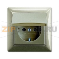 Розетка ABB 2CKA002018A1501