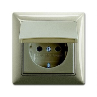 Розетка ABB 2CKA002018A1501