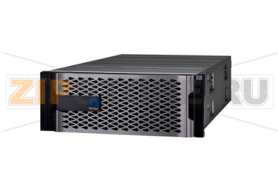 Система хранения данных NetApp AFF A800 