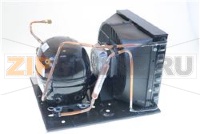 COMPRESSOR GROUP 115V 60 Hz 34 2V1