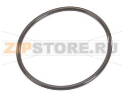 O-RING, VITON, VS200/250 