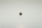 SFERA