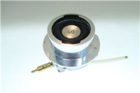 BOILER ASSEMBLY 1387 30 TK 230V 1100W