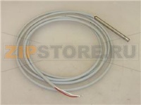 SONDA PTC 100 2000 mm BULBO ø 6x70 mm
