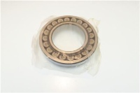 BEARING 125/70/31