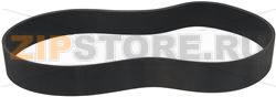 BELT POLY V 1664 L655 16N 