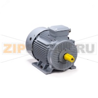 Электродвигатель трехфазный 45 кВт, 380/660 В, 1500 об/мин, IP55 ESQ 01.01.223791