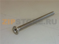 VITE A TESTA SVASATA PIANA M4x55