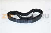 Correa poly-V J9 552 FLEXONIC 60Hz