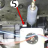 Kit, stepper motor with cable Zebra P430i