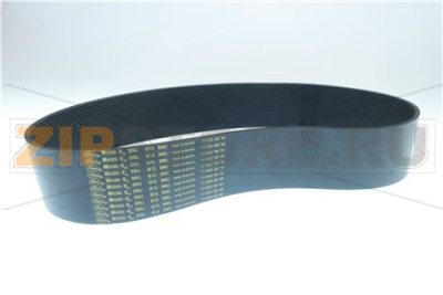 DRIVE BELT 