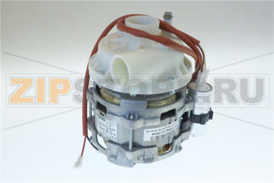 ELECTRIC PUMP ARISTARCO 0.75HP 
