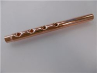 Manifold Strainer