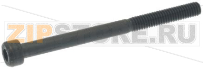 VITE A TESTA CILINDRICA M4x50 