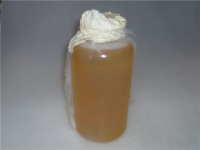 OLIO LATTINA 1 Lt ECTON32LEOL32