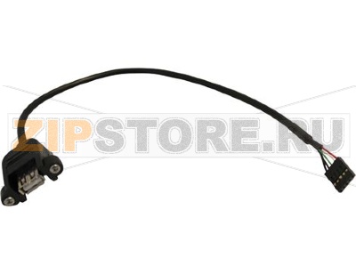 EXTENSION CABLE MOVEC ICEQ USB 