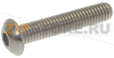 VITE A TESTA BOMBATA M5x25 