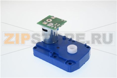 MR RPM11 24V DC C/FILTRO 