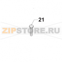 Screw M8x16 Bear Varimixer RN20 VL-2                                                                                        