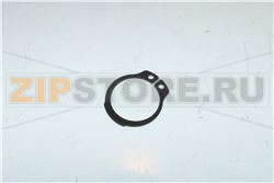 Anello elastico 