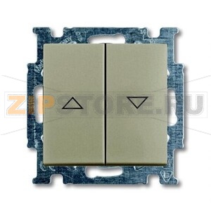 Выключатель двухклавишный, однополюсный, шампань ABB 2CKA001413A1094 